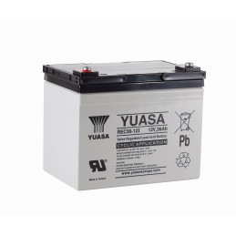 YUASA 12V - 36Ah - REC36-12 